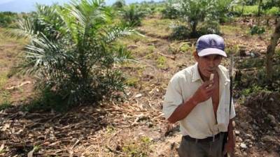 Las incitativas están encaminadas “en dar tierra a quien no tiene, identificar plenamente qué sucede con las tierras nacionales que jurídicamente están enredadas. Imagen de archivo.