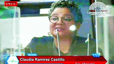 La diputada Claudia Ramírez planteó que se deben transmitir anuncios tres veces al día en los medios.