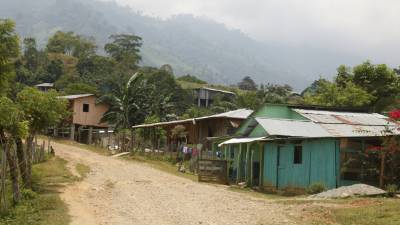 Viven más de 60,000 personas en la montaña de El Merendón.