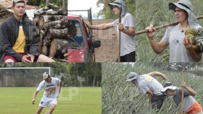 Francisco Martínez radica en la aldea Santa Elena de Santa Cruz de Yojoa.
