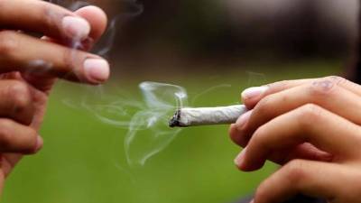 Consumidores de marihuana realizan una 'fumatón' en Bogotá, Colombia, en protesta por el nuevo Código de Policía que entra en vigencia en todo el país a partir de hoy y contempla nuevas sanciones y normas de comportamiento ciudadano, incluyendo multas por consumir en lugares públicos. EFE