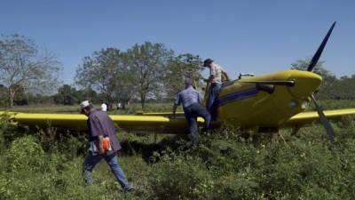 Los técnicos inspeccionan el aeroplano que se accidentó en unos potreros en el Campo Dos de La Lima, a unos 800 metros de la pista adonde iba a aterrizar.