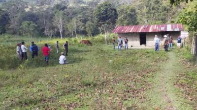 El hecho se produjo en Copán.