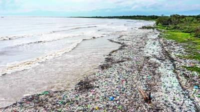Las playas del municipio de Izabal están inundadas de basura procedente de la capital de su país. FOTO: Cortesía.