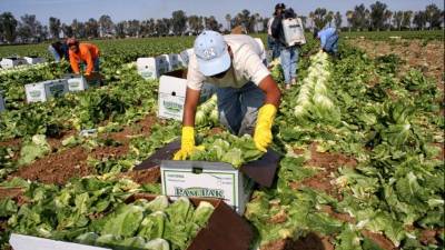 Uno de los objetivos es crear empleo.