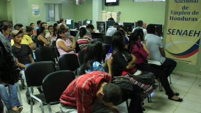A diario más de mil personas llegan a las oficinas de la Secretaría en busca de una oportunidad laboral.