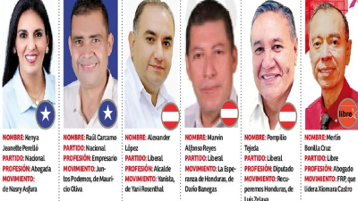 Entre los precanditados hay abogados, doctores, un periodista, empresarios e ingenieros.