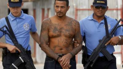 José Rafael Reyes Gálvez, alias Spider, integrante de la pandilla 18, había sido capturado en El Salvador.