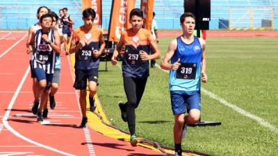Los corredores compitieron en varias categorías en la pista del Olímpico. Fotos Franklin Muñoz.