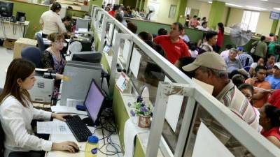 Contribuyentes hacen trámites en oficinas de San Pedro Sula. Foto: Franklin Muñoz