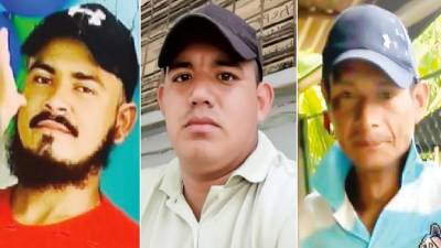 <b>Reinaldo Cardona Díaz, Jairo Orellana Marín y German Gómez Mairena fueron encontrados muertos en una plantación en Esparta, Atlántida.</b>