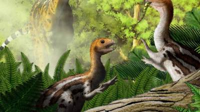 El Limusaurus variaba su dieta de omnívoro-carnívoro a herbívoro, un fenómeno 'raro'.