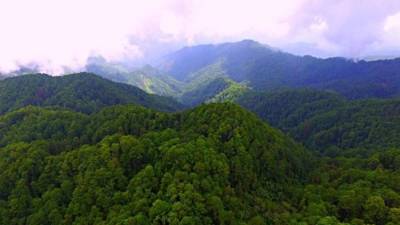 El paquete contempla la prohibición por un plazo de 50 años de construcción de proyectos en zonas que hayan salido afectadas por incendios. Imagen de archivo.