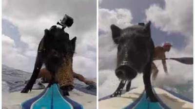 El video que lleva más de dos millones de vistas en YouTube fue grabado en una sesión de surf en Sandy Beach, Oahu, en Hawai.