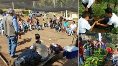 Acción. Fundación Merendón busca hacer sostenibles las aldeas de El Merendón en San Pedro Sula.