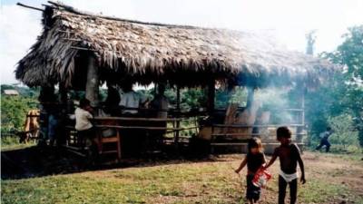 En la gráfica, una comunidad indígena en Nicaragua, publicada el 30 de enero de 2020 en la cuenta oficial de Twitter de la Comisión Interamericana de Derechos Humanos (CIDH).