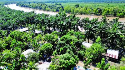 Los cultivos de palma africana, banano y maíz en Santa Rosa de Aguán, Colón, seguían inundados.