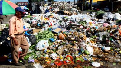En San Pedro Sula se recogen 1,500 toneladas de basura al día.