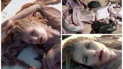 Las imágenes del cuerpo de una supuesta sirena, hallado en la costa de Pajapan, Veracruz, México, desataron todo tipo de especulaciones en las redes sociales pero todo tiene una explicación.