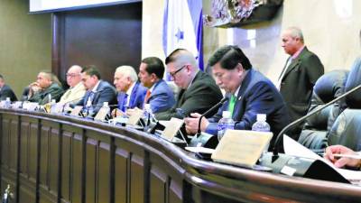 Los directivos nacionalistas del Congreso no recibieron con agrado la resolución del CNE.