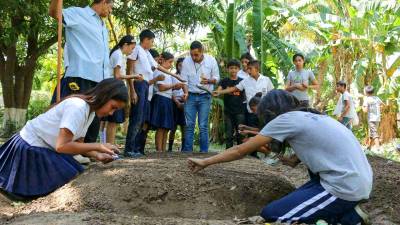Los escolares ya están trabajando en los huertos.
