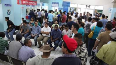 Las oficinas de Tránsito permanecen llenas de lunes a sábado por la solicitud de licencias.