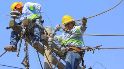 Personal técnico de la Enee trabaja en la red eléctrica dando mantenimiento.