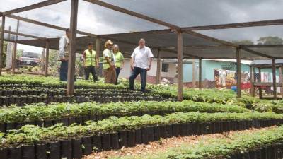 El alcalde Armando Calidonio visitó varios proyectos en El Merendón.