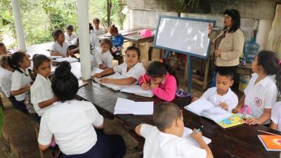 ¿Cuál crees que debería ser la modalidad educativa en 2022?