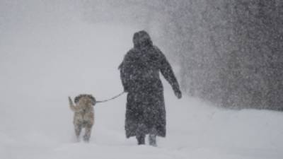 A woman walks her dog along a country road near Montreal Thursday, Dec. 27, 2012 during the first major snowstorm of winter in the region. (AP Photo/The Canadian Press, Graham Hughes)