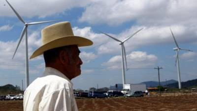 Un señor en Choluteca aprecia los campos eólicos.