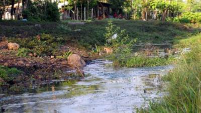 Las autoridades sanitarias piden a la población evitar las aguas estancadas. Efraín Molina.