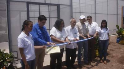 Representantes del Gobierno de Taiwán y autoridades de la Unah inauguraron el invernadero. Foto: Javier Rosales.