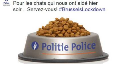 En respuesta al apoyo de la ciudanía, que en lugar de información información útil a los terroristas publicó imágenes de gatos, la policía les agredeció en curiosa forma.
