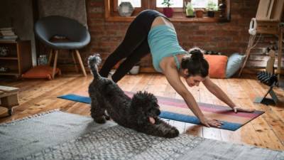 Convertirse en experto en yoga no es fácil, requiere de mucha disciplina.