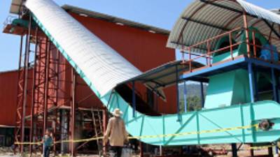 Procesadora de palma operará desde enero