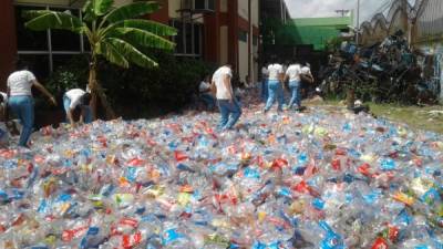 Las actividades de Dima se desarrollan en los centros escolares de la ciudad y en algunas universidades.