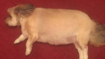 No se daban cuenta de lo que pasaba hasta que la vieron así.