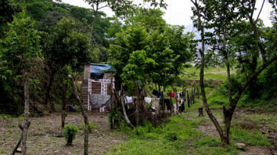 Cerca de 300 casitas hay en la zona de reserva de El Merendón.