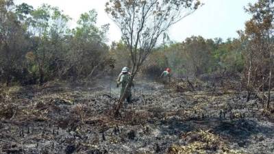 El presidente Juan Orlando Hernández aseguró que castigarán a pirómanos.