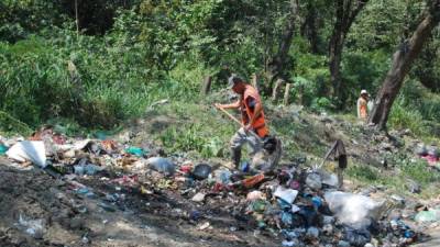 La recolección de basura y limpieza de las zonas es también parte de las acciones que se están haciendo.