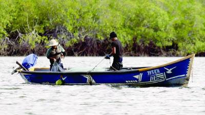 Gobierno debe poner más atención a esta zona.