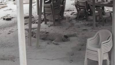 Rescatistas descubrieron los cuerpos de más de 30 personas en la aldea El Rodeo, una de las comunidades arrasadas por las corrientes de lava y ceniza del volcán de Fuego./AFP.