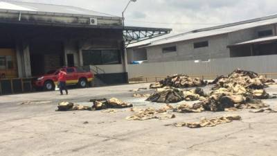 Residuos de sacos en el predio de la bodega incendiada.