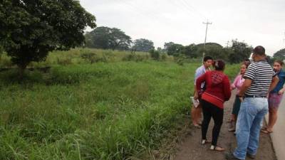 En medio de un matorral se encontró el cadáver.