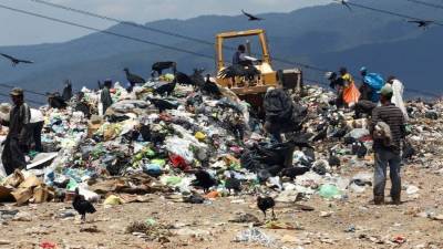 En una caja de cartón fue encontrado el cuerpo de un recién nacido en el crematorio municipal.