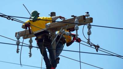 Cuadrillas de la EEH dan mantenimiento a la red del sistema eléctrico en una zona sampedrana. Foto: Yoseph Amaya.