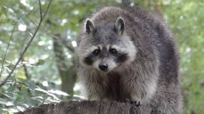 Foto de istockphoto.com