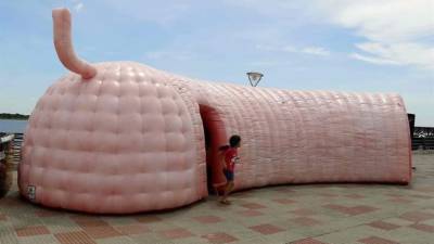 Vista de tamaño gigante de una reproducción de un colon humano, en Asunción. La reproducción, fabricada en plástico e instalada en la Costanera de Asunción, frente a la bahía del río Paraguay, sirvió para concienciar a los paraguayos acerca de la prevención del cáncer colorrectal, el cuarto con mayor incidencia en el país. EFE