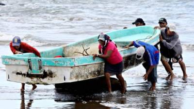 El proyecto incluye la creación de protocolos para la prevención y mitigación.